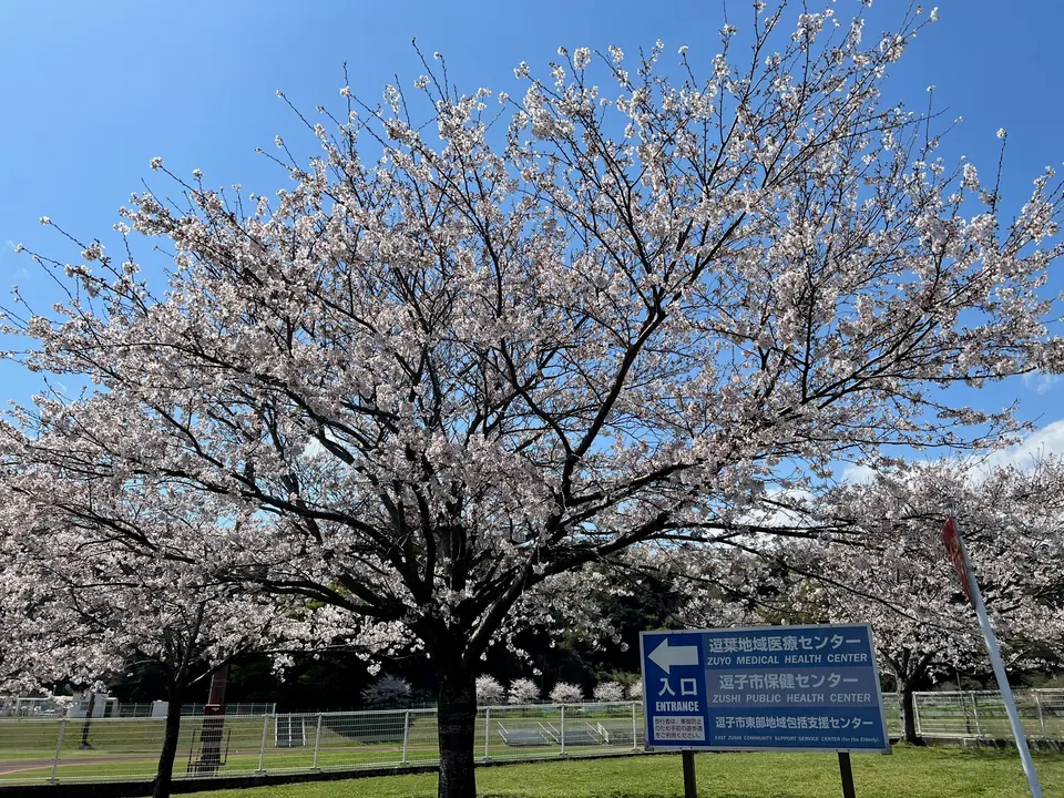 逗葉地域医療センター 玄関3
