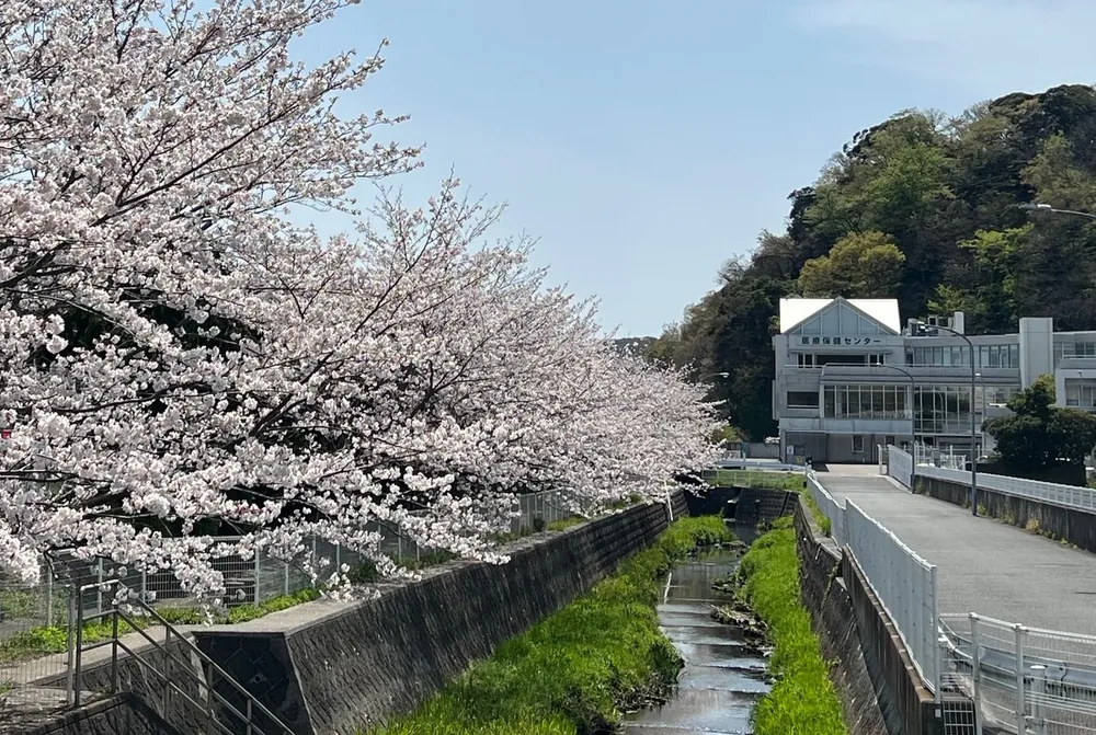 逗葉地域医療センター 玄関6